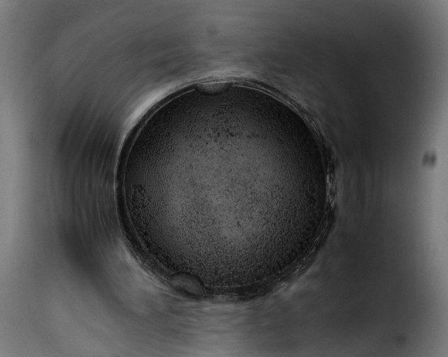 X0000115640196200911241719