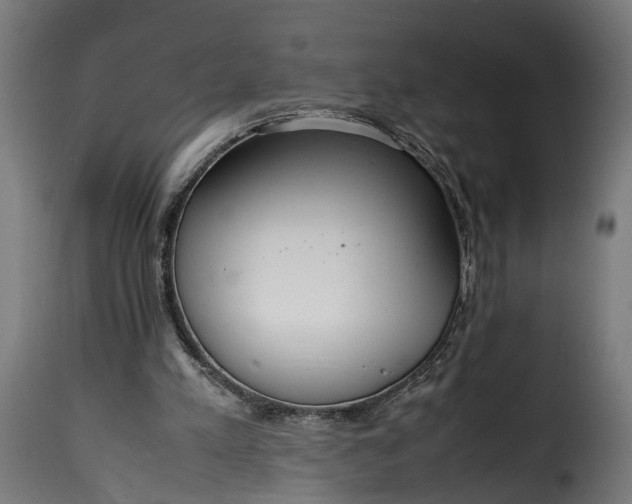 X0000115640197200911241719