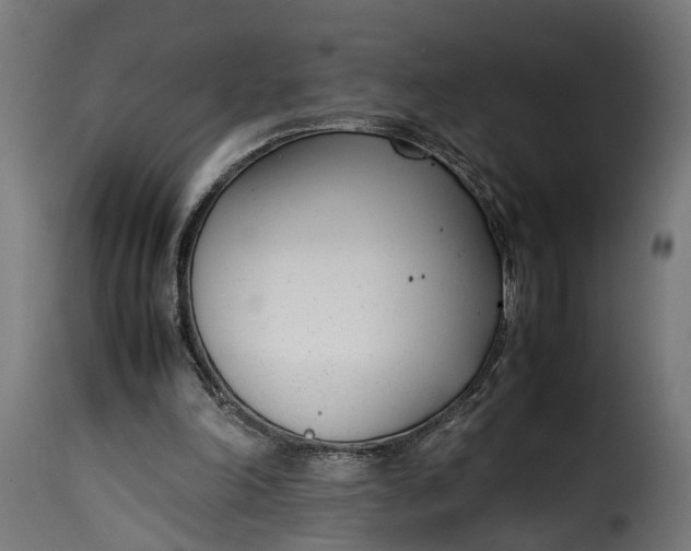 X0000115640198200911241719