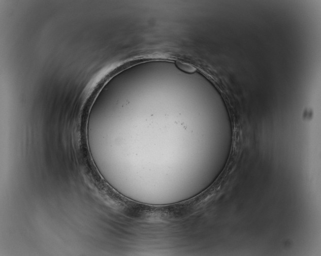 X0000115640200200911241719