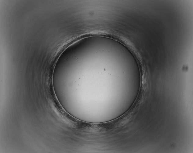 X0000115640201200911241719