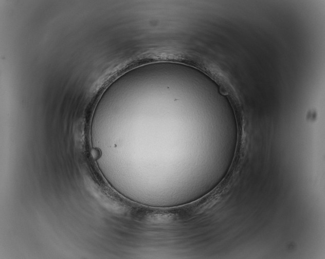 X0000115640202200911241719