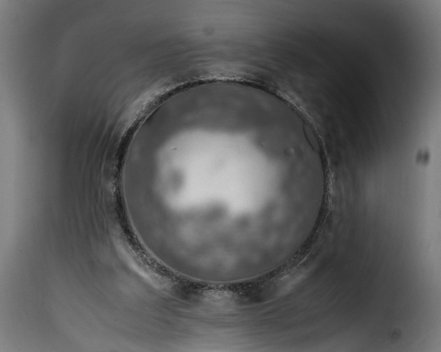 X0000115640203200911241719