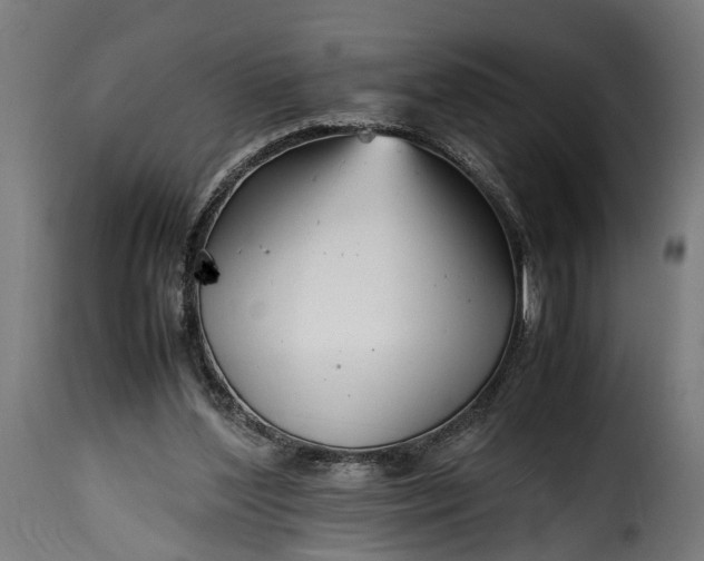 X0000115640204200911241719