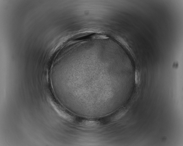 X0000115640205200911241719