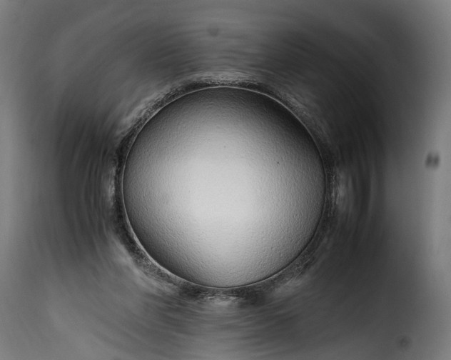 X0000115640206200911241719