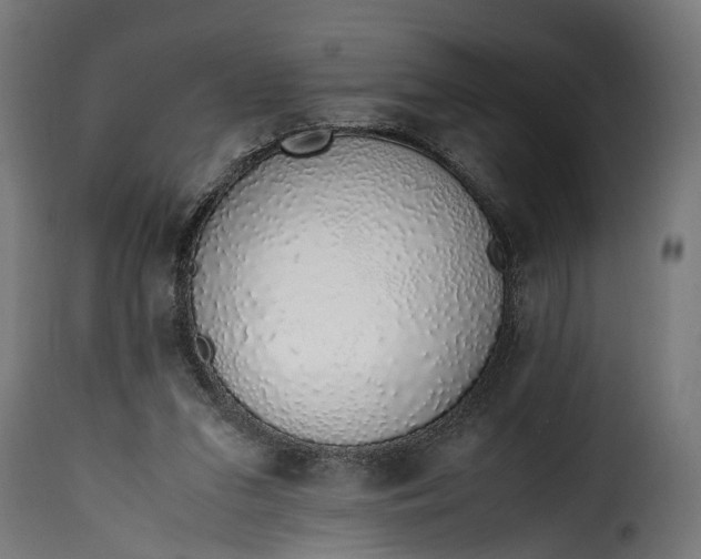 X0000115640207200911241719