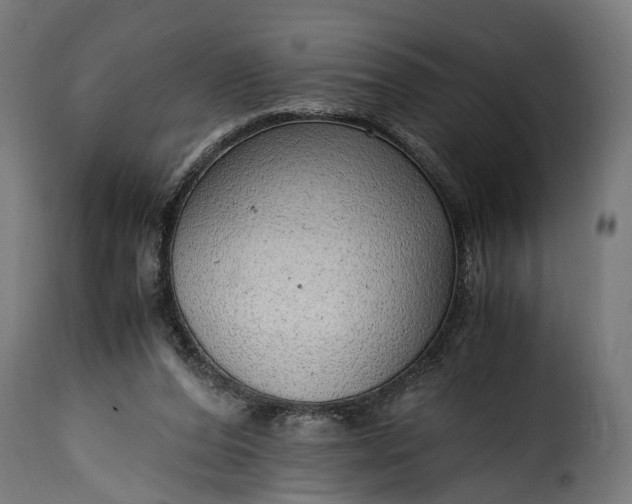 X0000115640208200911241719