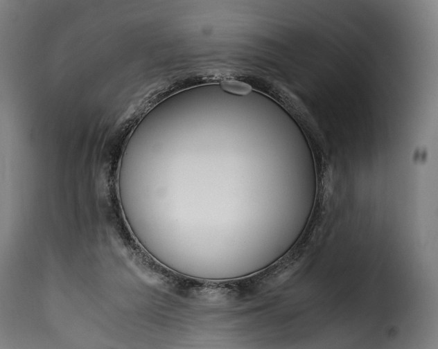 X0000115640209200911241719