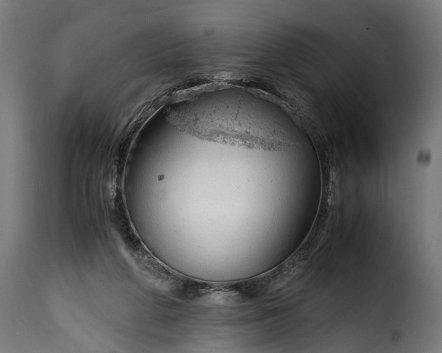 X0000115640210200911241719