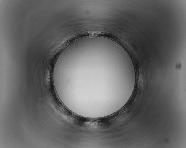 X0000115640211200911241719