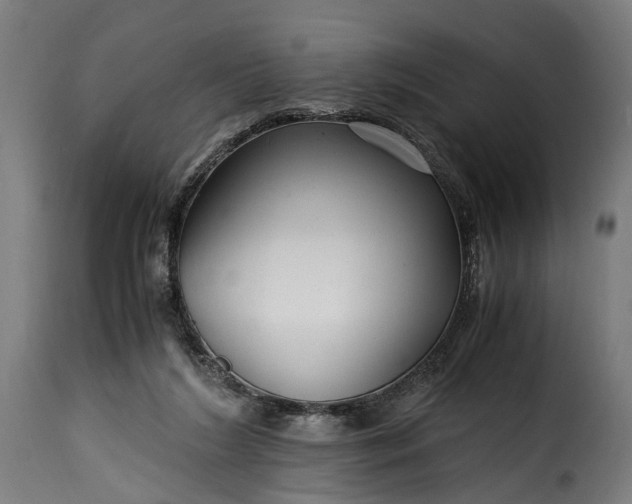 X0000115640212200911241719