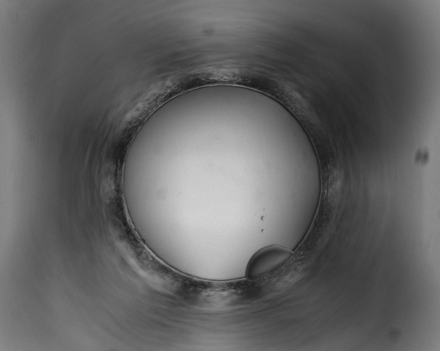 X0000115640213200911241719