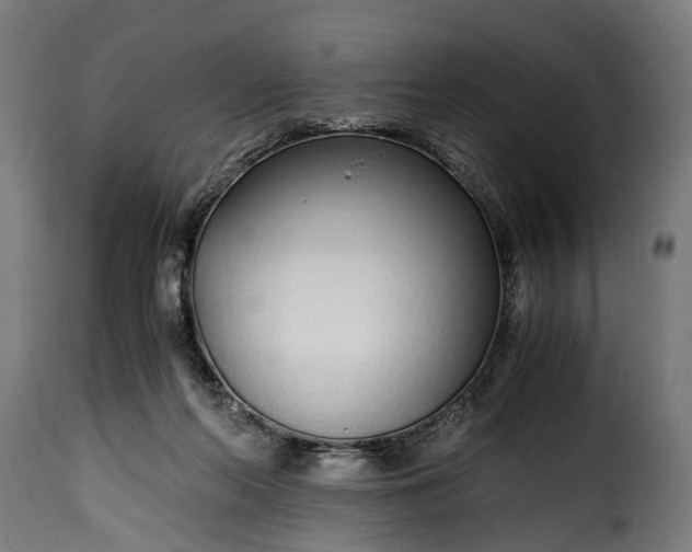 X0000115640214200911241719