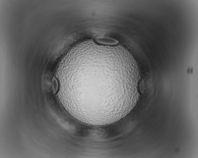 X0000115640215200911241719