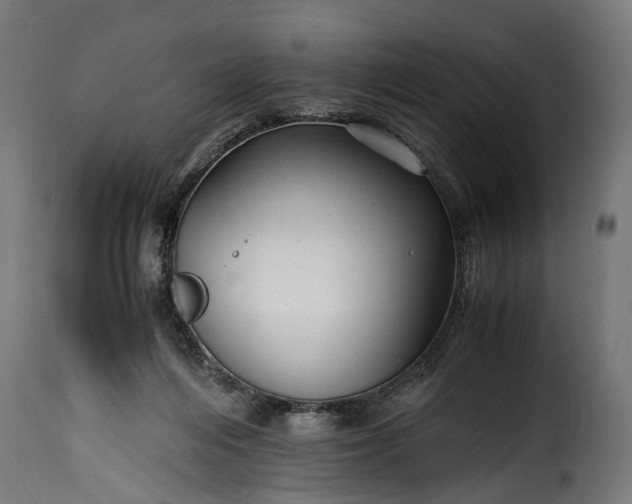 X0000115640216200911241719