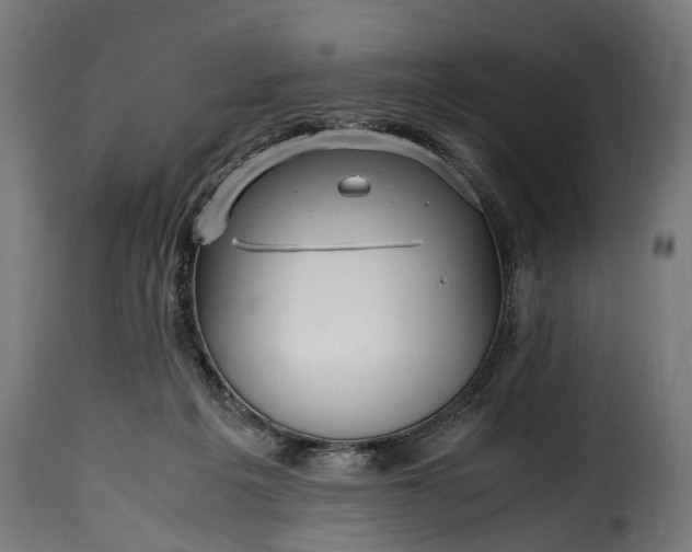 X0000115640217200911241719