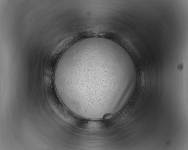 X0000115640218200911241719