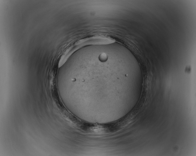 X0000115640219200911241719