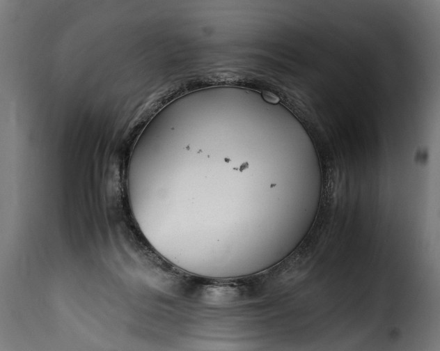 X0000115640220200911241719