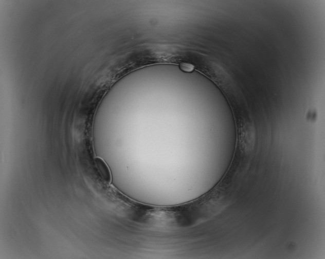 X0000115640221200911241719