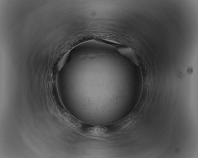 X0000115640223200911241718