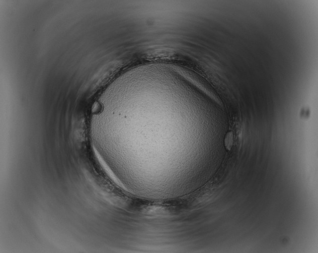 X0000115640224200911241718