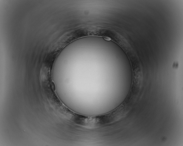 X0000115640225200911241718