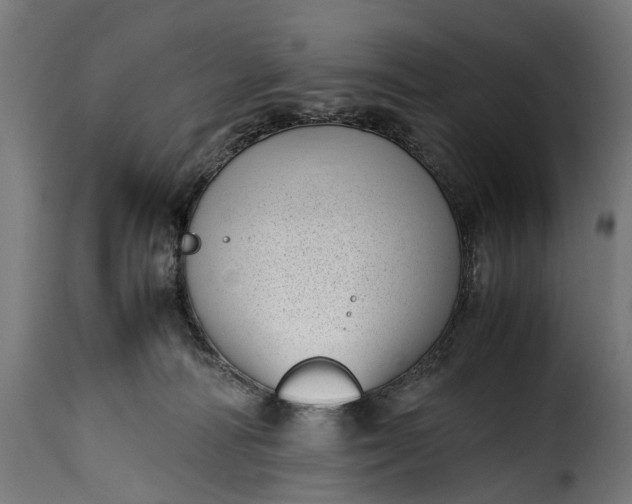 X0000115640226200911241718