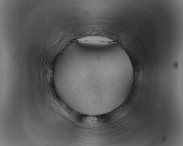 X0000115640227200911241718