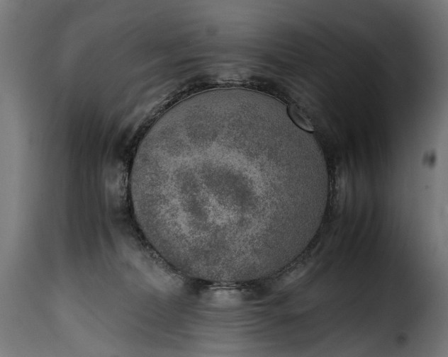 X0000115640228200911241718