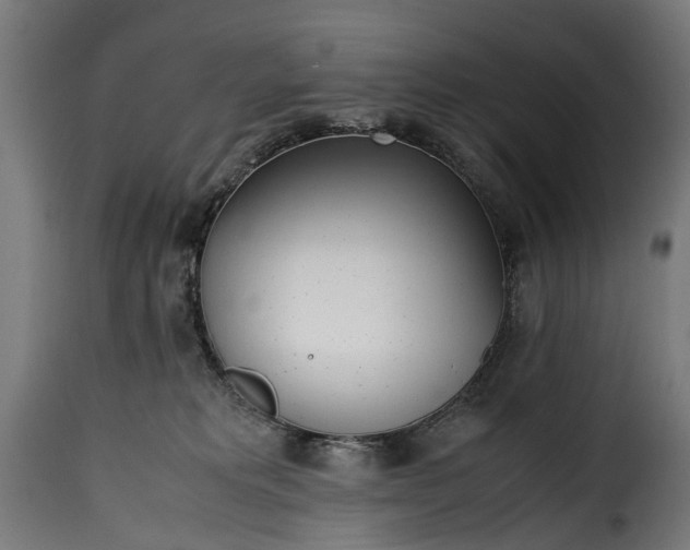 X0000115640229200911241718