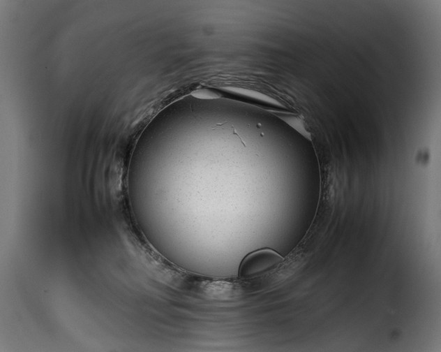 X0000115640230200911241718