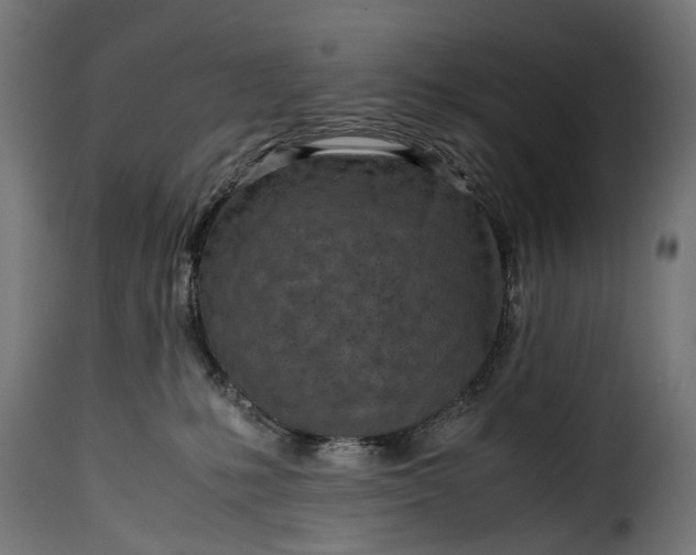 X0000115640231200911241718