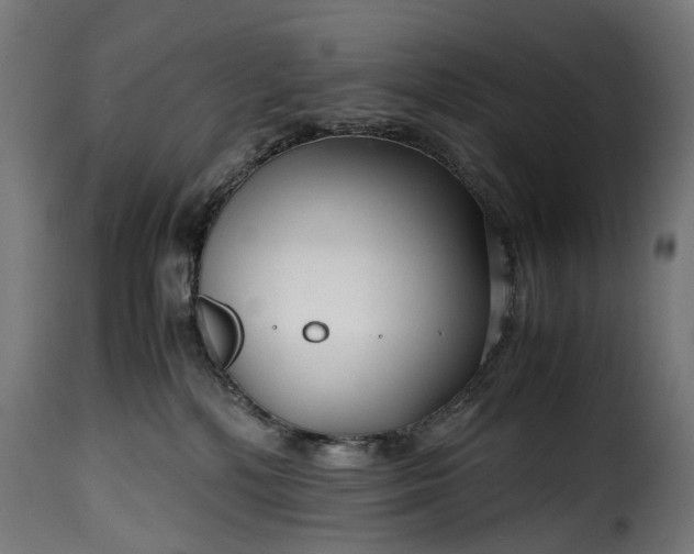 X0000115640232200911241718