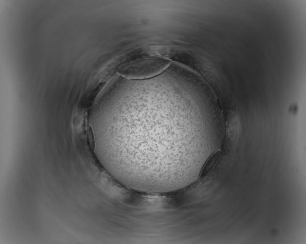 X0000115640233200911241718