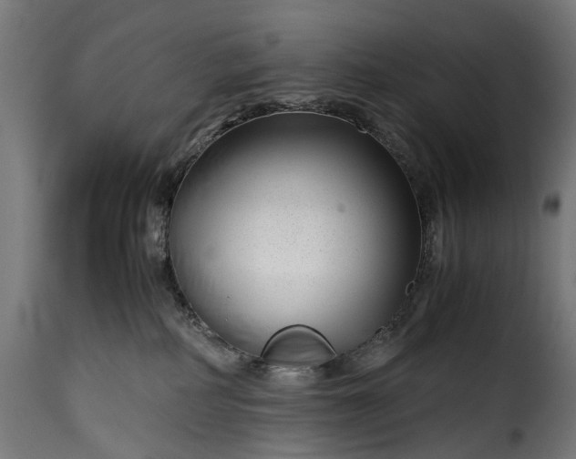 X0000115640234200911241718