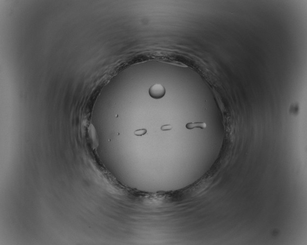 X0000115640235200911241718