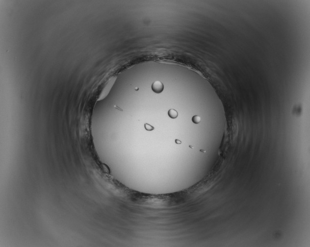 X0000115640236200911241718