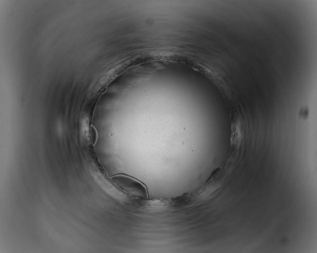 X0000115640238200911241718