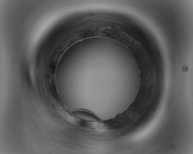 X0000115640239200911241718