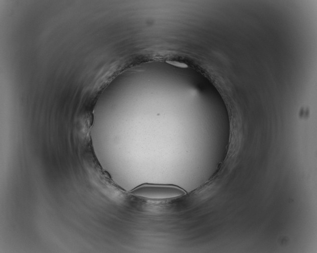 X0000115640240200911241718