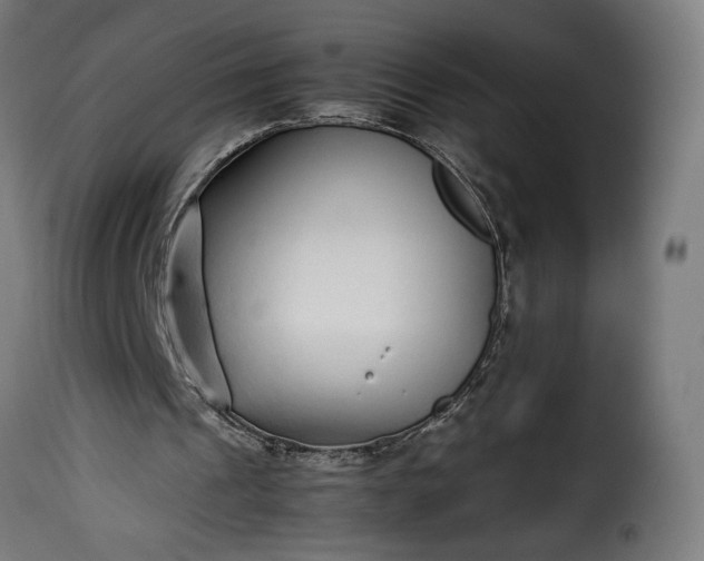 X0000115640241200911241717