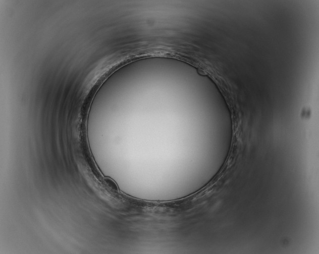 X0000115640242200911241717