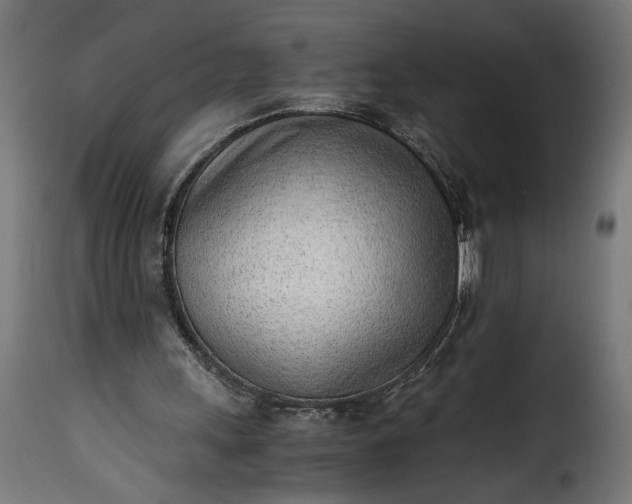 X0000115640243200911241717