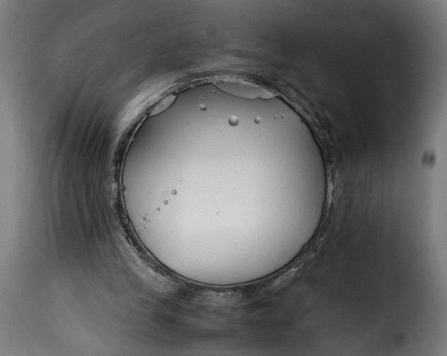 X0000115640245200911241717