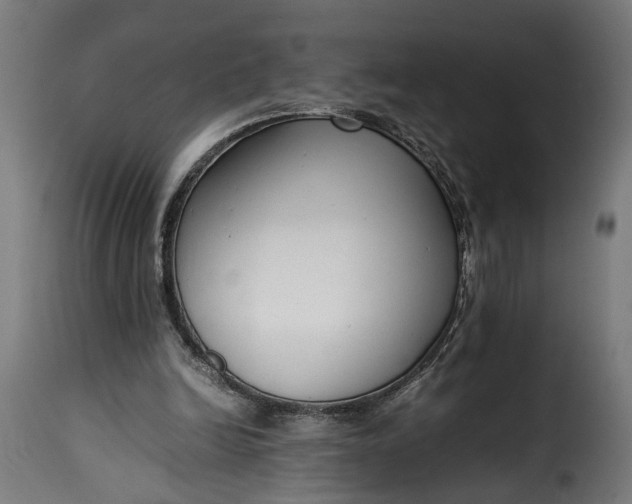 X0000115640246200911241717