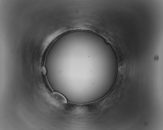 X0000115640248200911241718