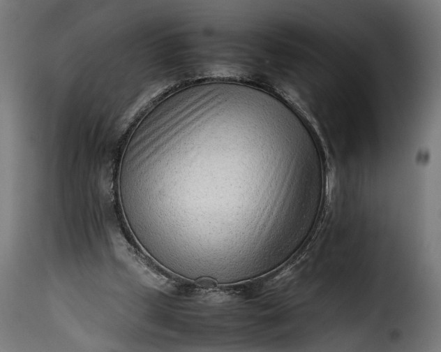 X0000115640249200911241718