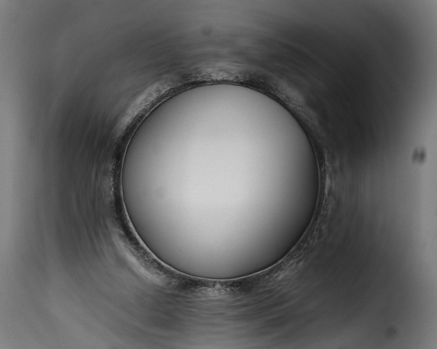 X0000115640250200911241718